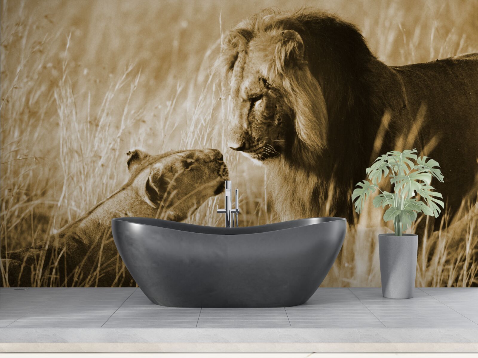 Fototapeta lew i lwica poznają się