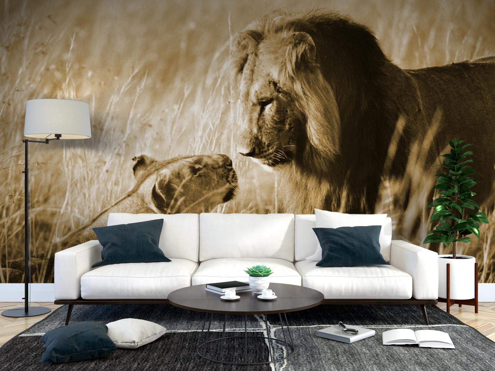 Fototapeta lew i lwica poznają się