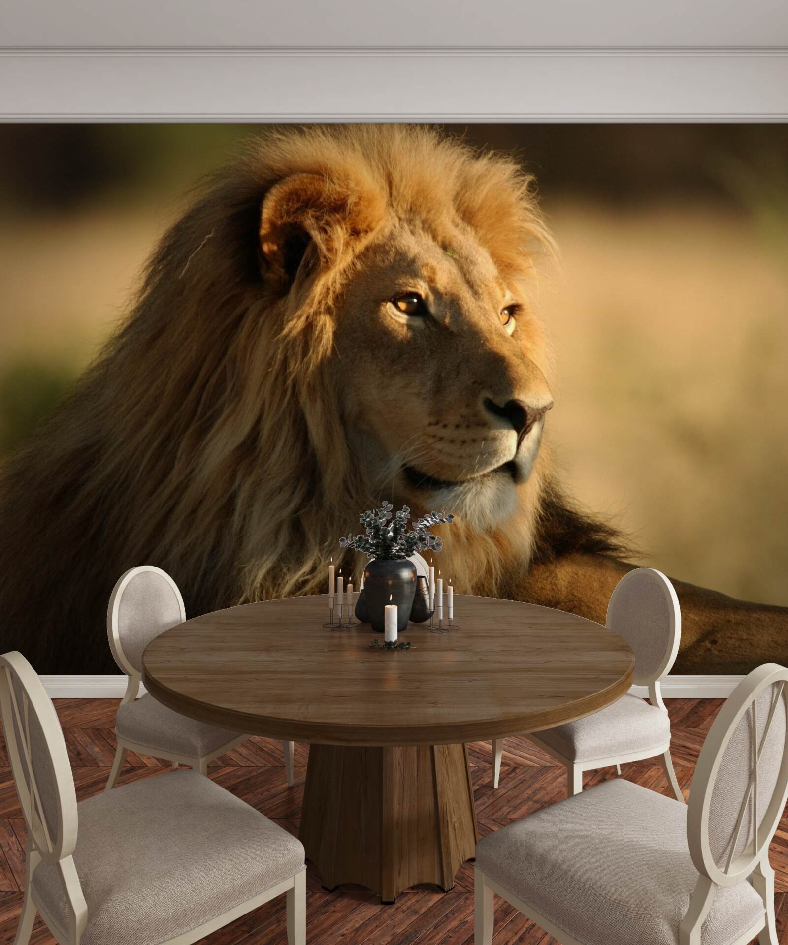 Fototapeta monarcha sawanny na wakacjach