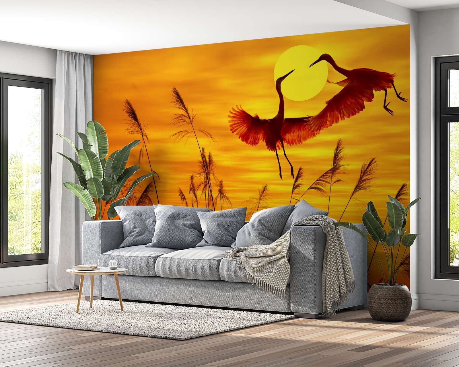 Fototapeta zachodowi słońca towarzyszy stado żurawi