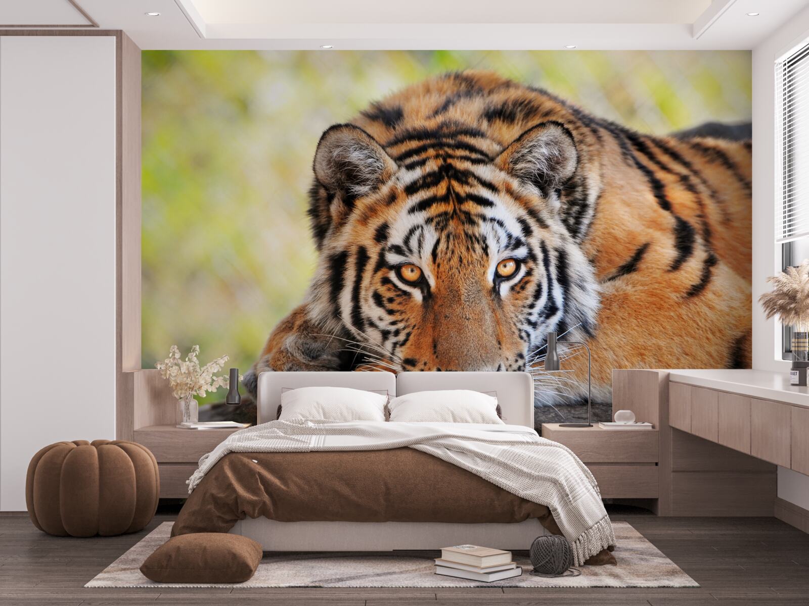 Fototapeta tygrys drapieżnik wpadł w zasadzkę