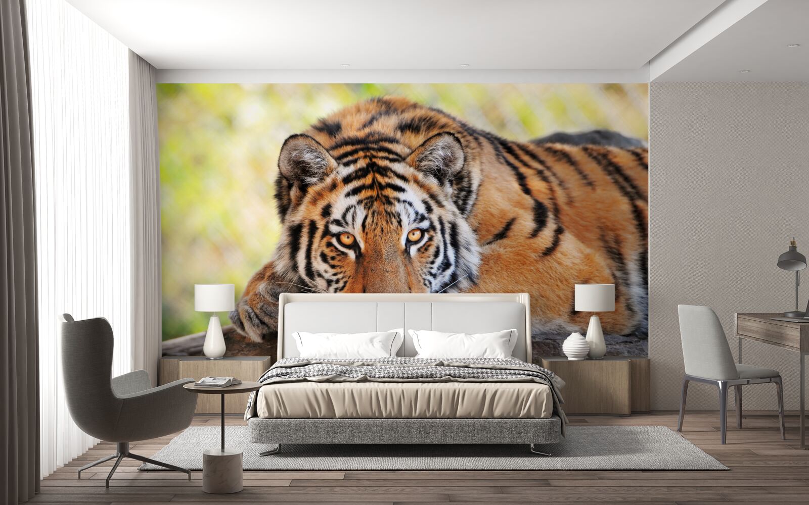 Fototapeta tygrys drapieżnik wpadł w zasadzkę