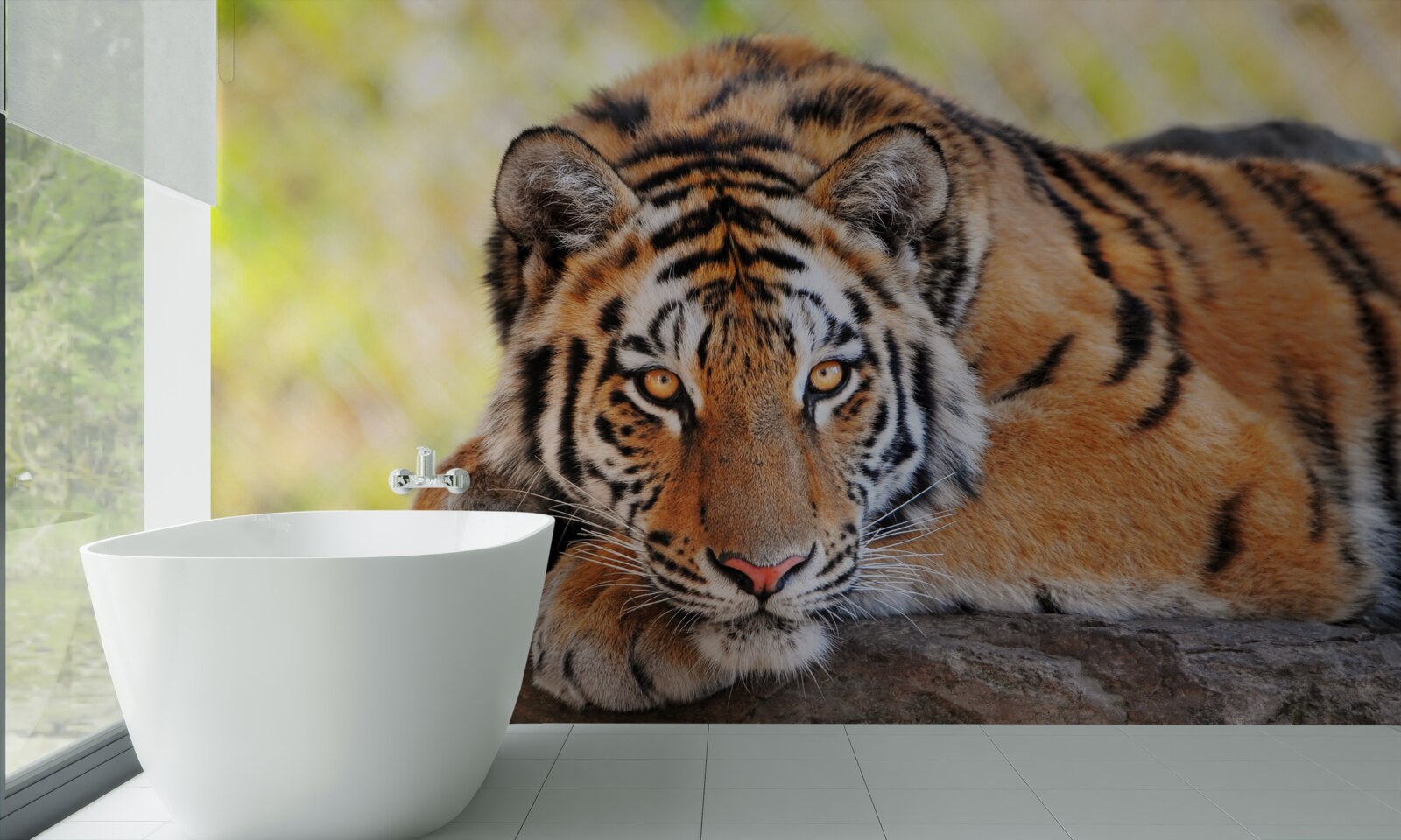 Fototapeta tygrys drapieżnik wpadł w zasadzkę