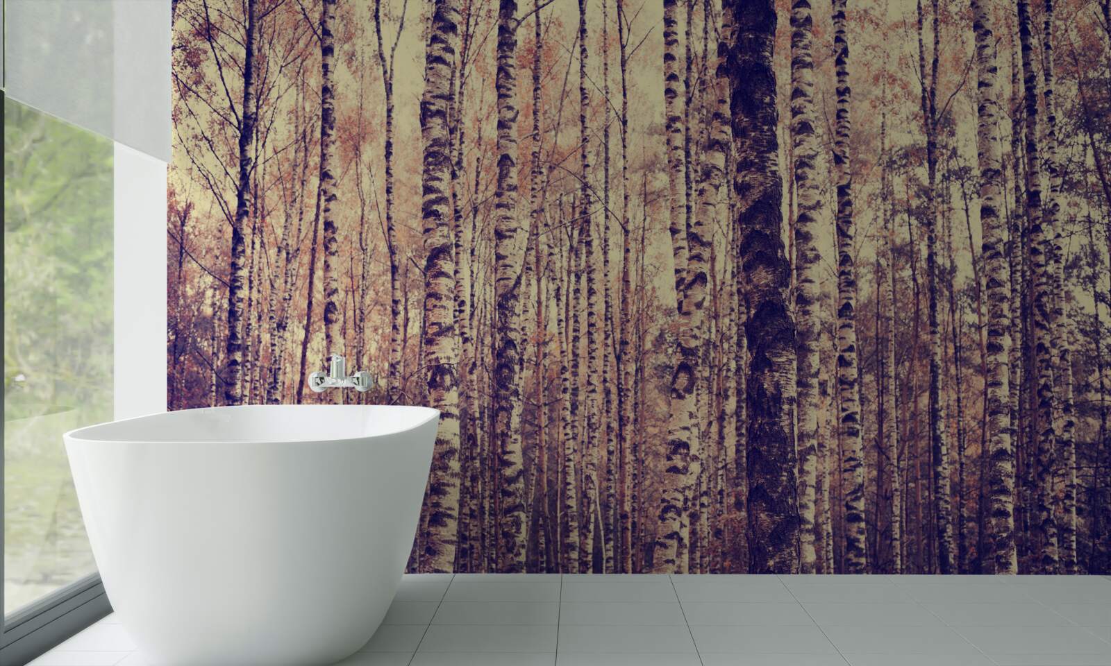 Fototapeta elegancki gaj brzozowy