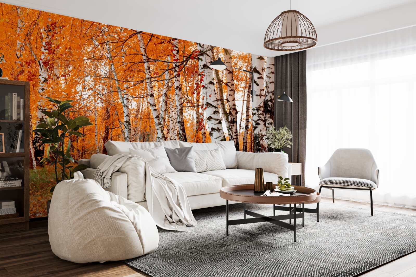 Fototapeta liście brzozy są pomarańczowe