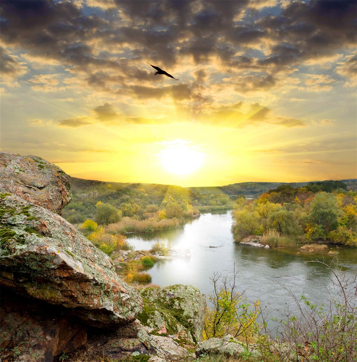 Fototapeta jesienne słońce przechodzi w chłodny zachód słońca