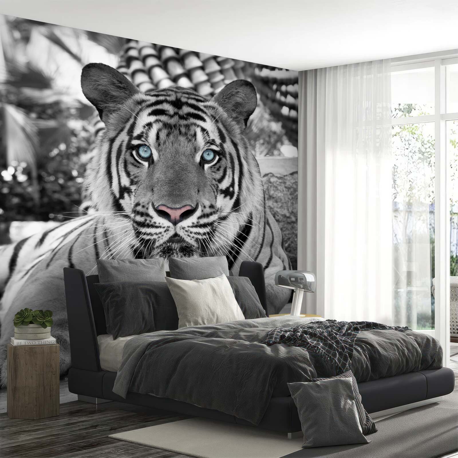 Fototapeta czarno-biały tygrys z pięknymi niebieskimi oczami