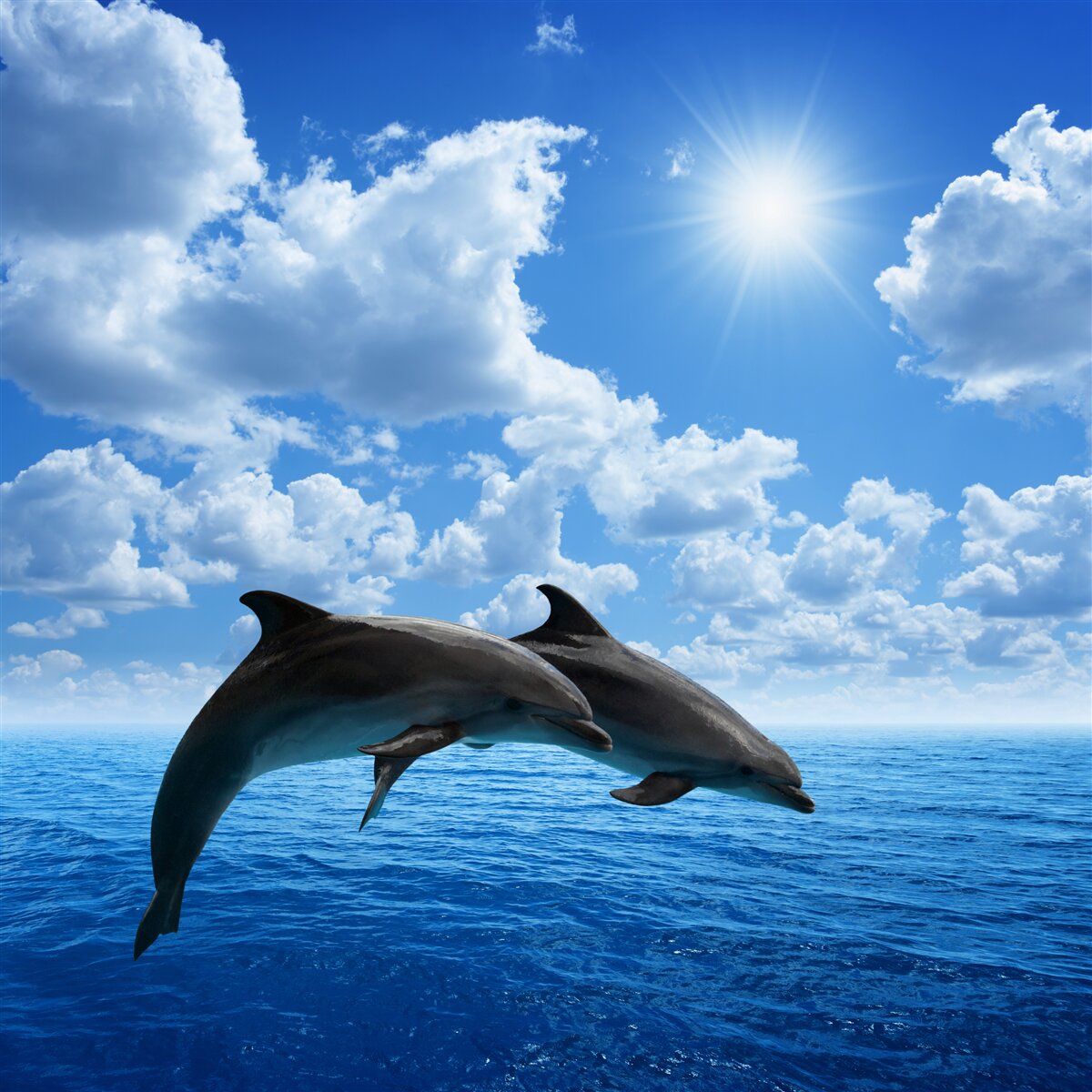 Fototapeta przepraszam, ale „a92785” nie jest pełnym zdaniem lub frazą ani parafrazą. podaj pełne zdanie, abym mógł ci lepiej pomóc