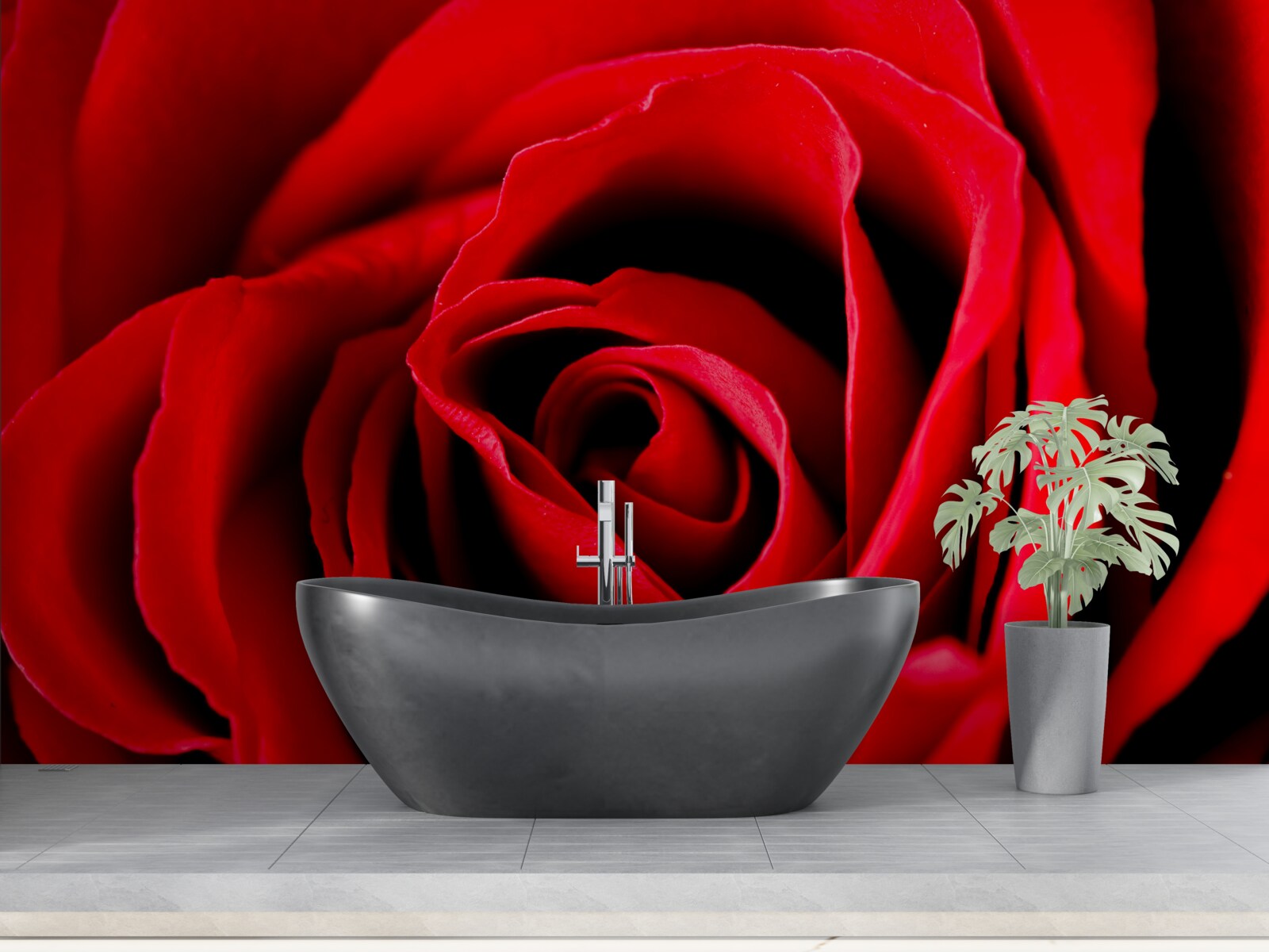 Fototapeta cudowna szkarłatna róża