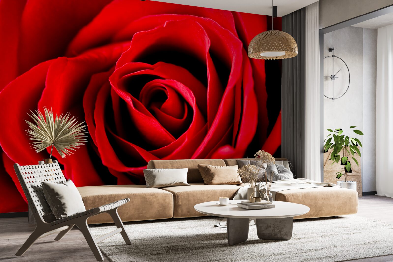 Fototapeta cudowna szkarłatna róża