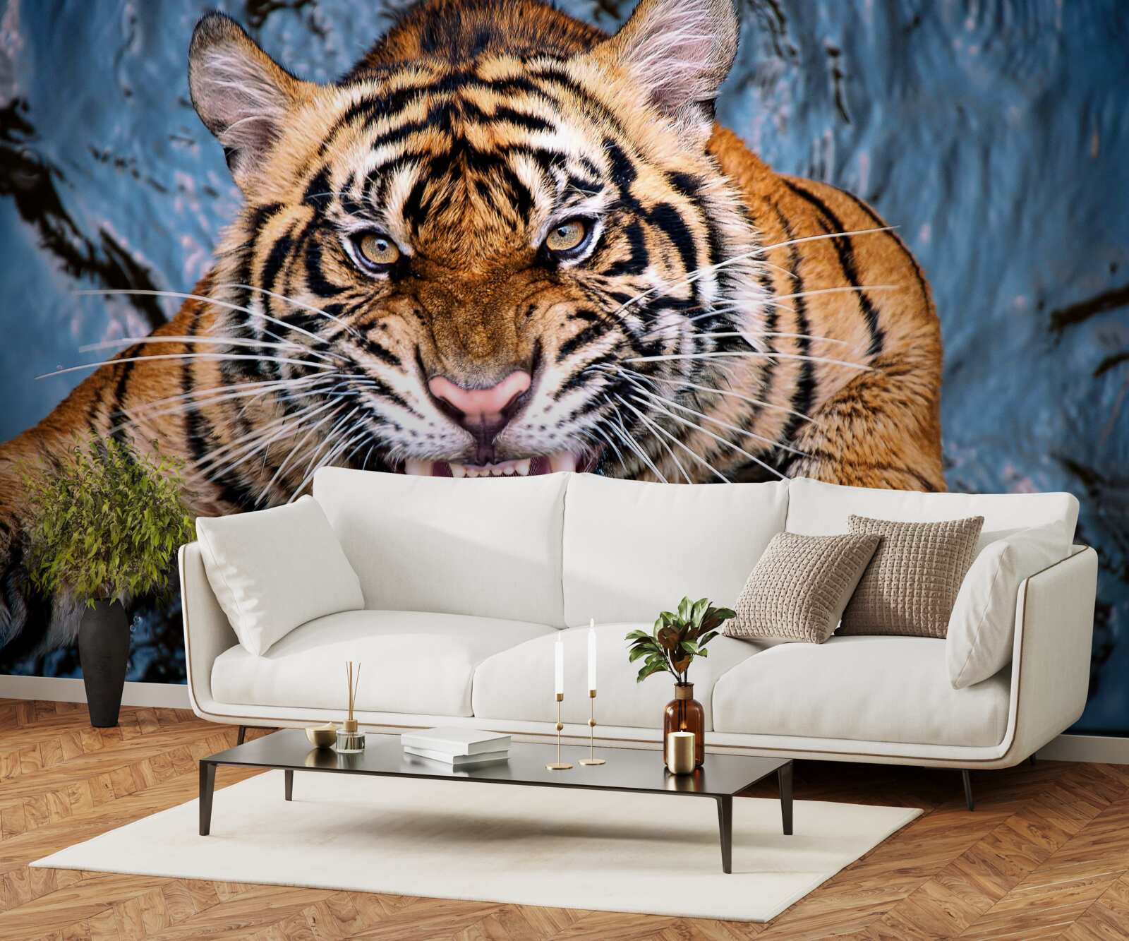 Fototapeta tygrys ryczy ze złości