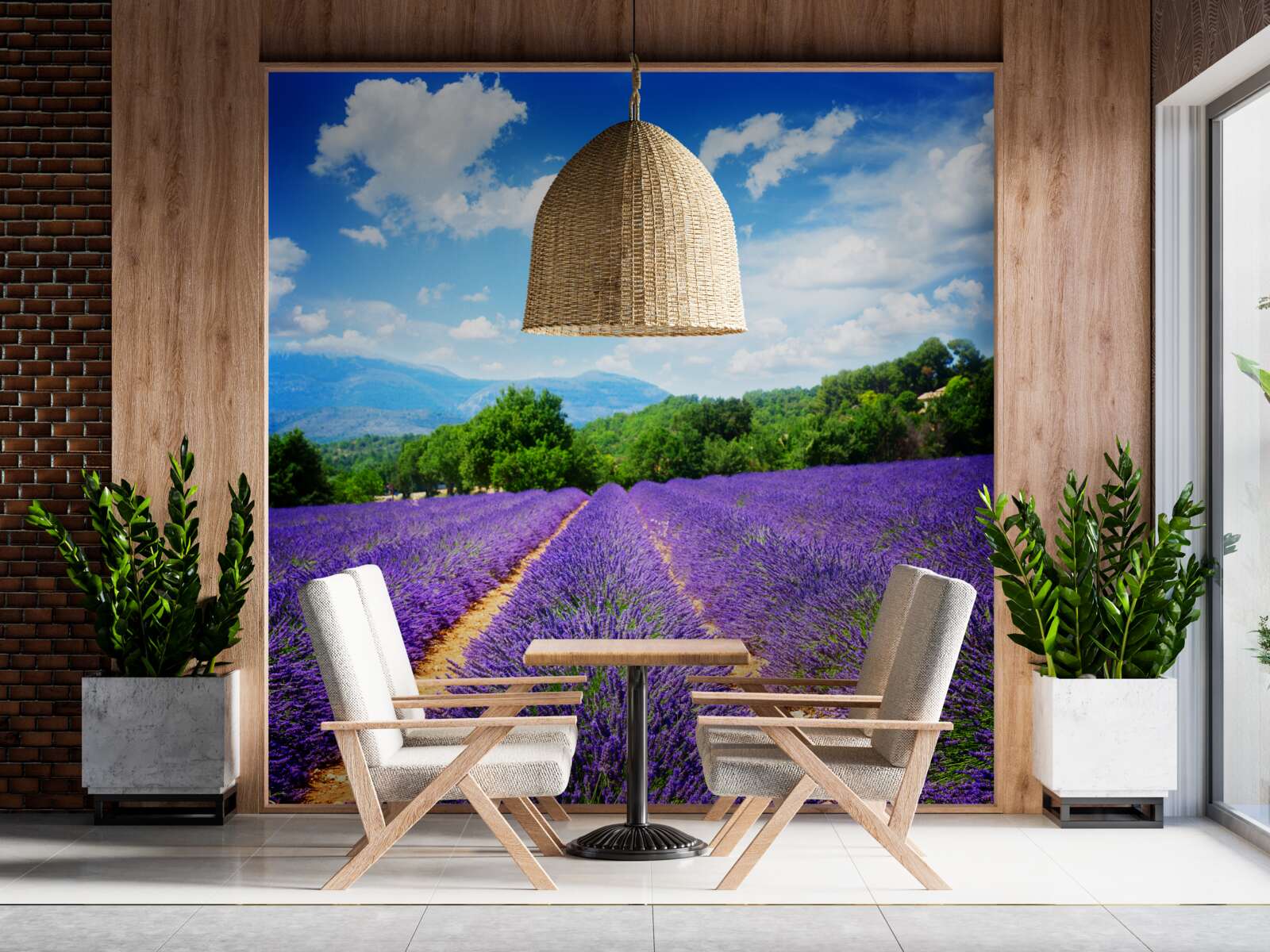 Fototapeta niekończące się połacie miękkiej lawendy