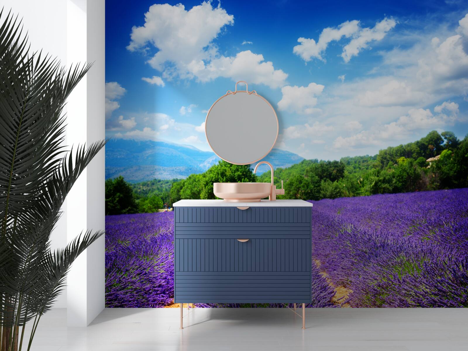 Fototapeta niekończące się połacie miękkiej lawendy