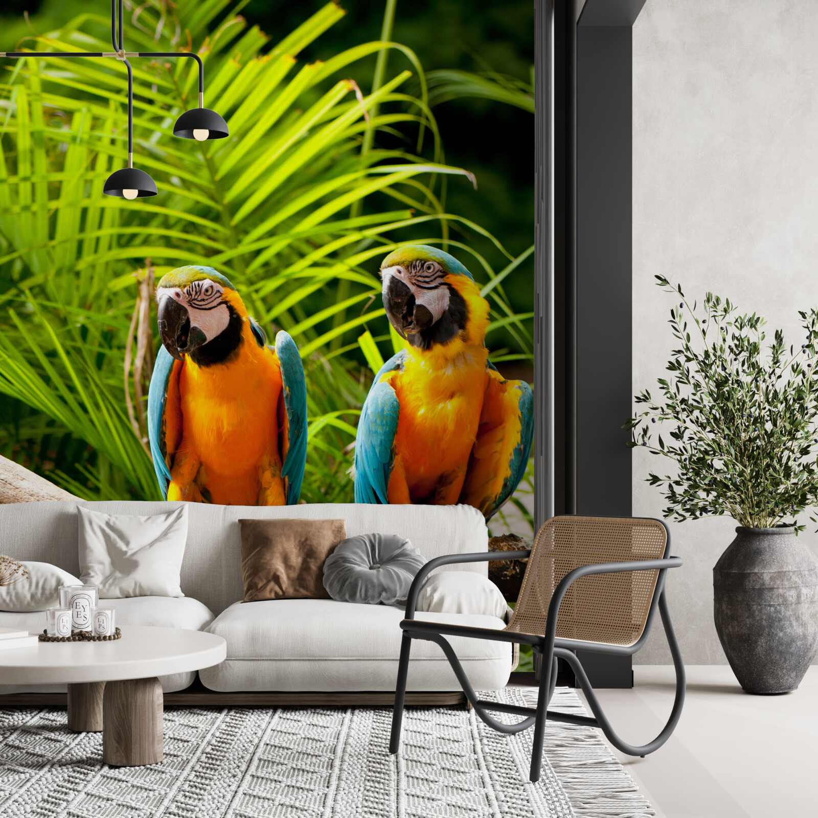 Fototapeta dwie ary siedzące na gałęziach palmowych