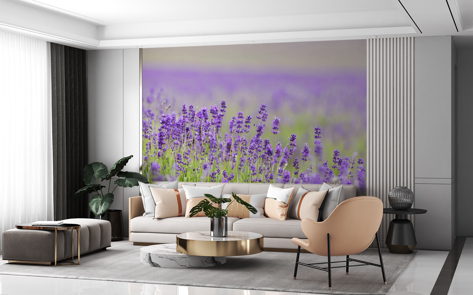 Fototapeta pola lawendy