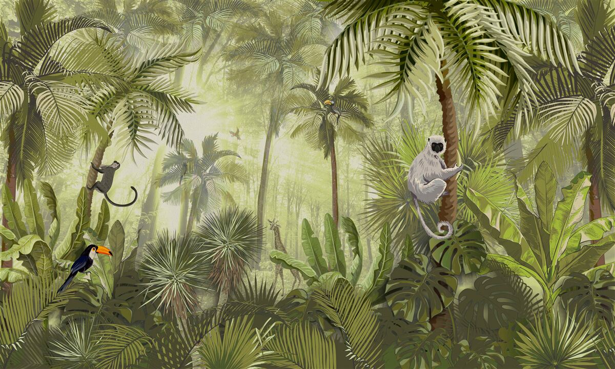 Fototapeta poranna mgła w regionach tropikalnych