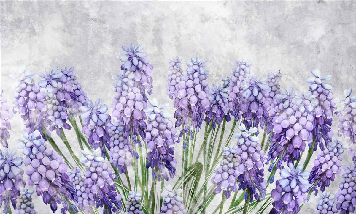 Fototapeta Łąka pięknych fioletowych kwiatów