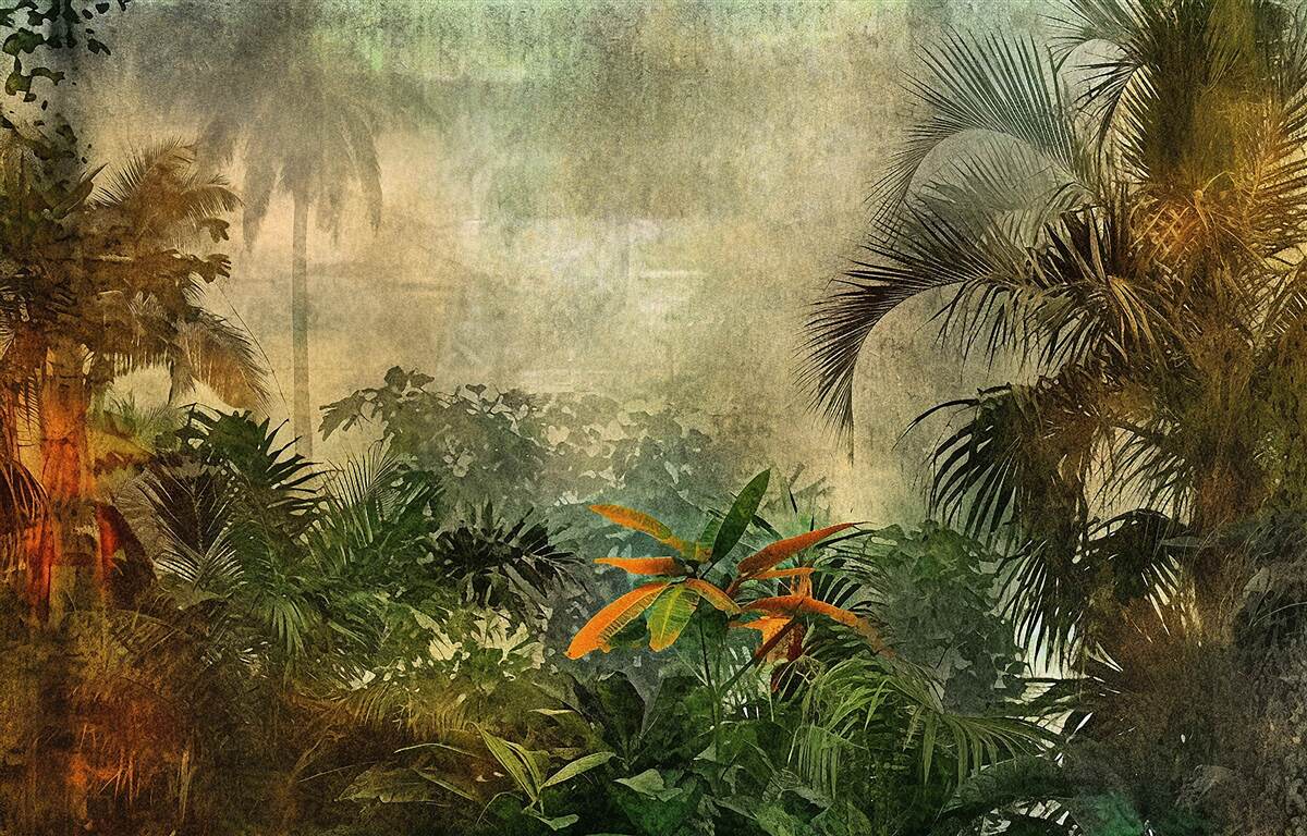 Fototapeta bujna flora w lasach tropikalnych