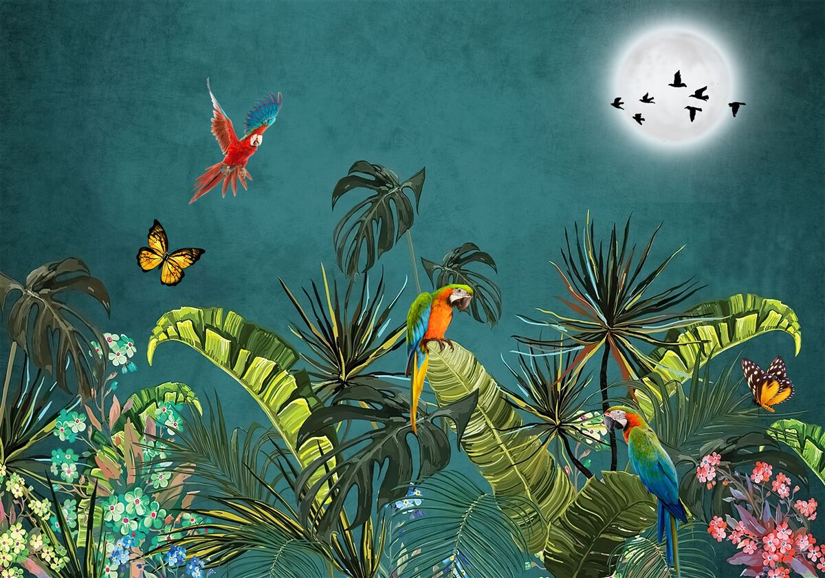 Fototapeta las tropikalny pod osłoną nocy