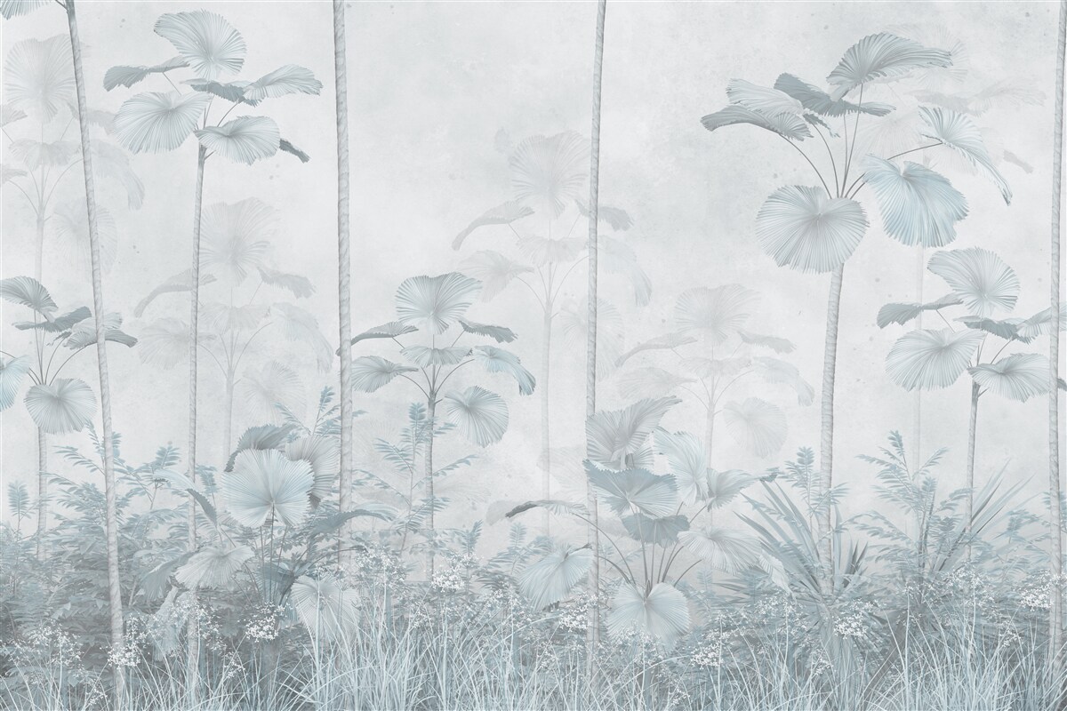 Fototapeta gęsta mgła w regionie tropikalnym