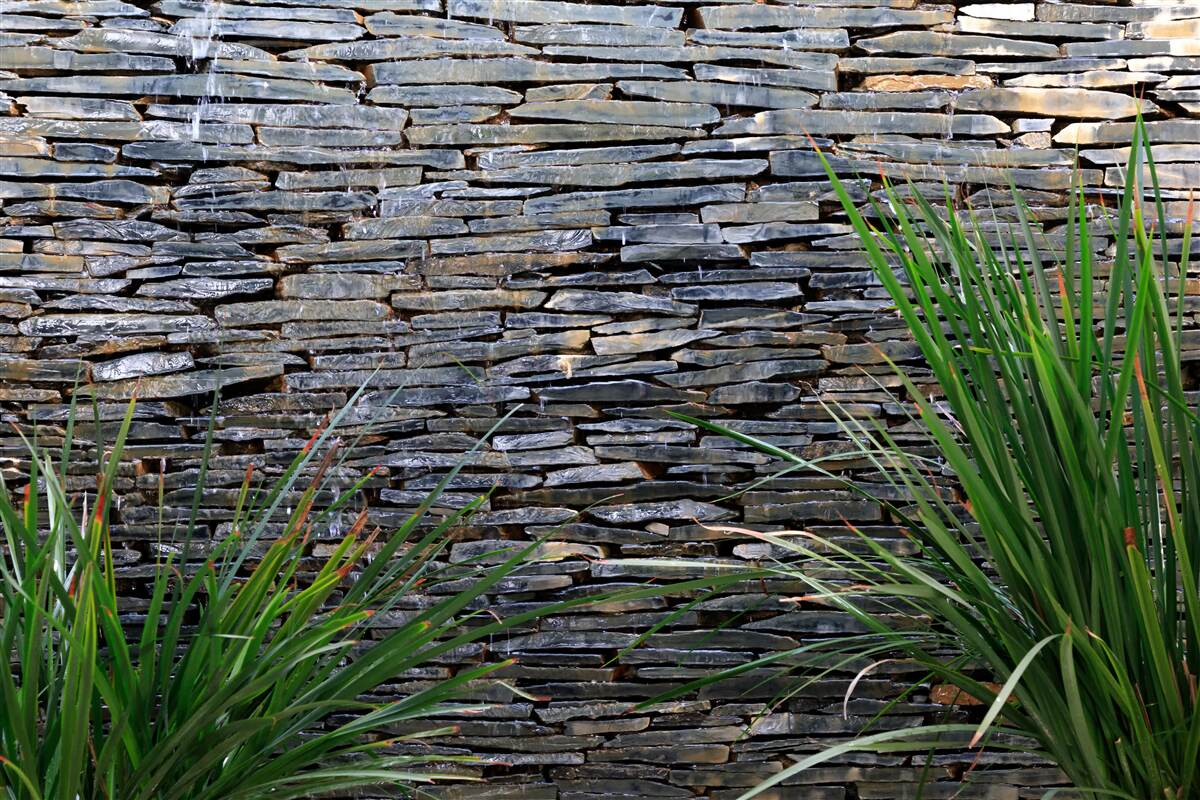 Fototapeta zielona roślinność i kamienna ściana