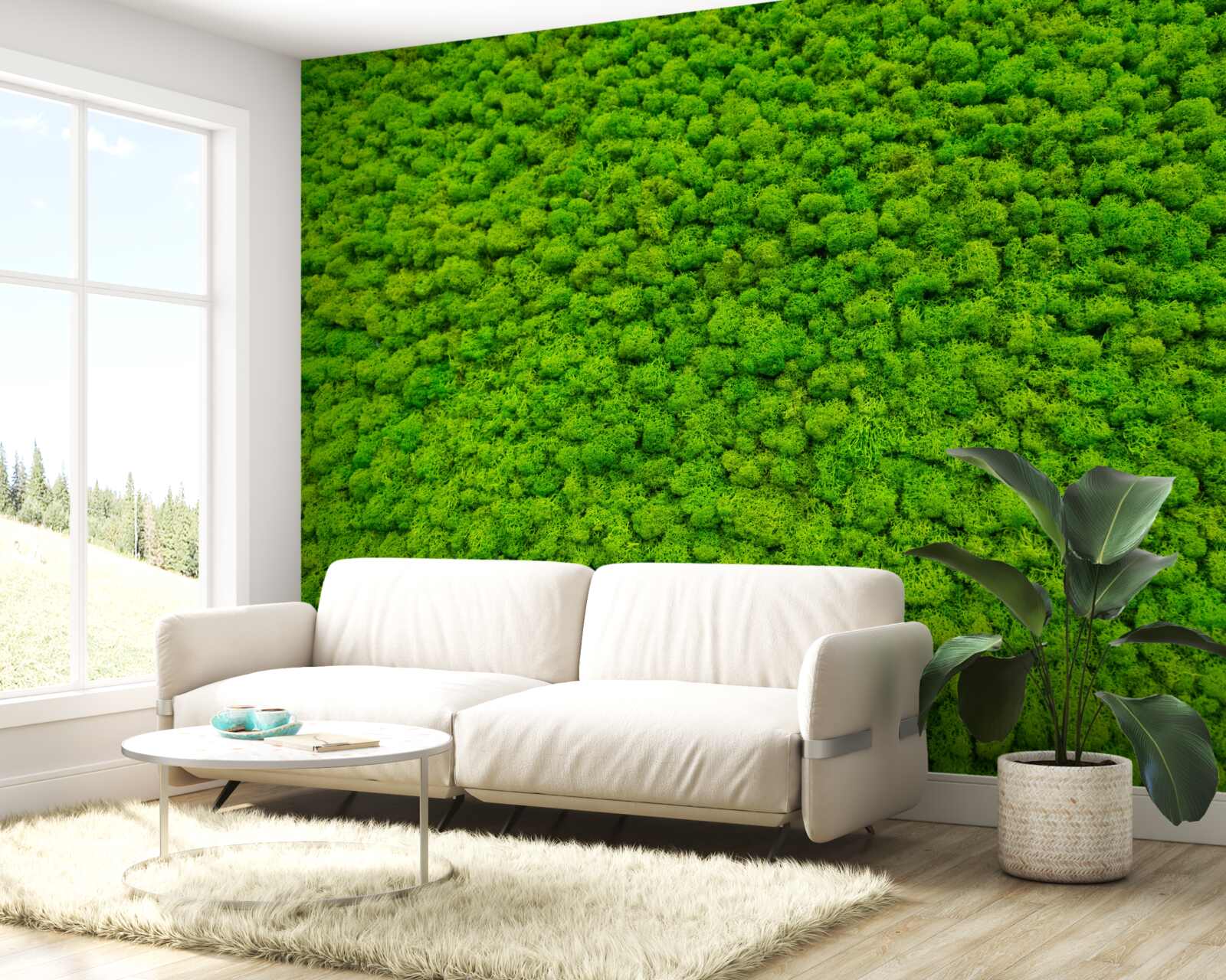 Fototapeta widok zielonego liścia z wysokiego punktu