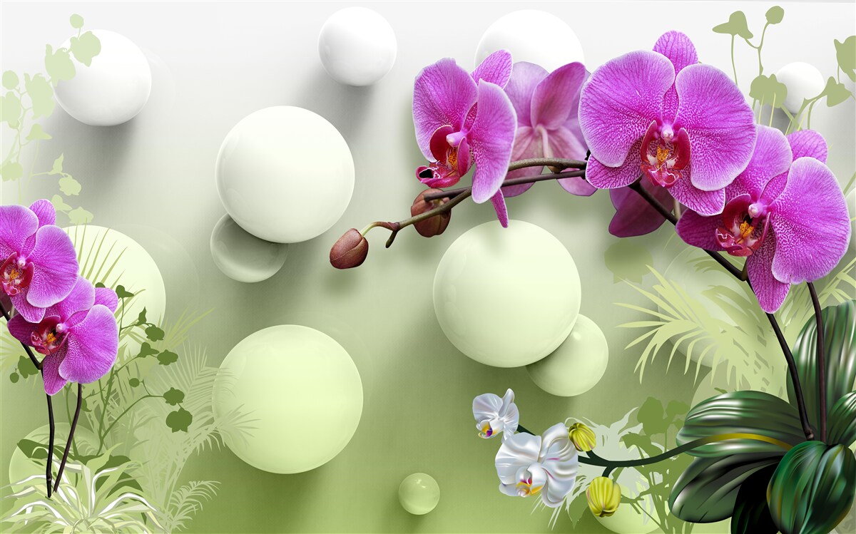 Fototapeta storczyki w odcieniach bieli i fioletu
