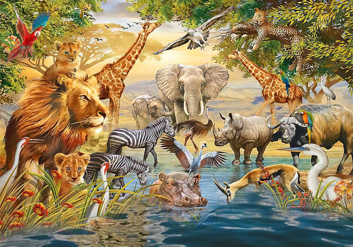 Fototapeta zwierzęta afryki w pobliżu stawu