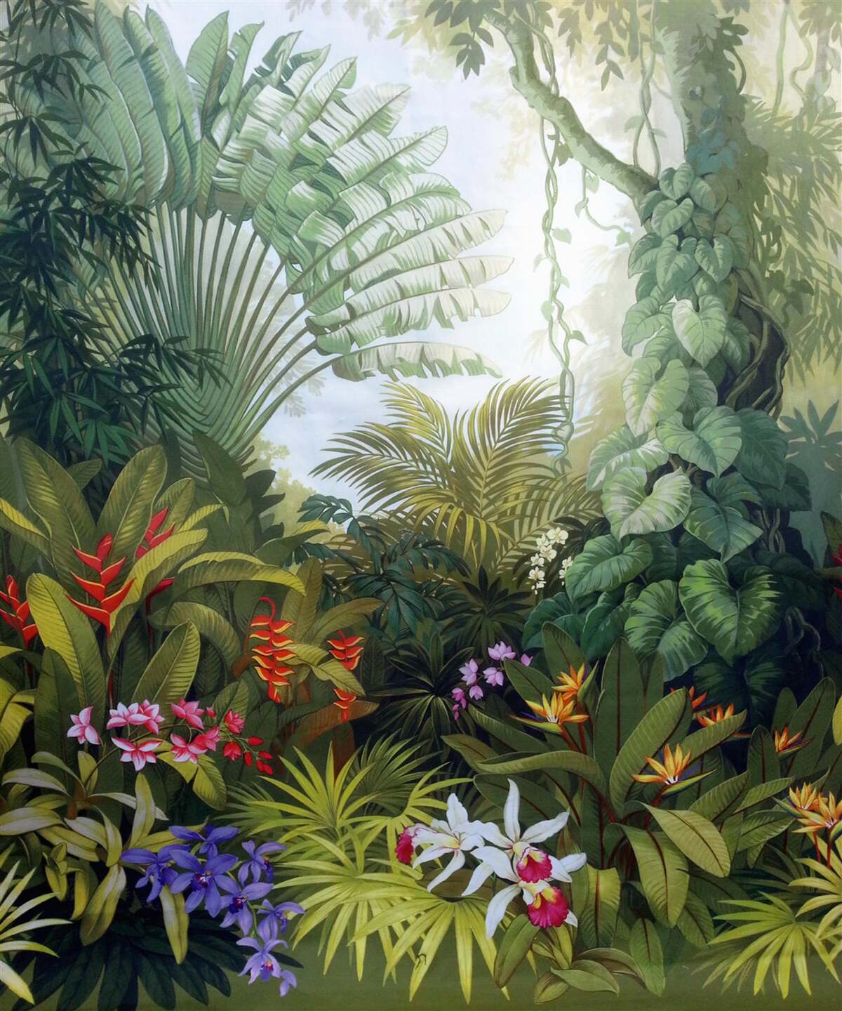 Fototapeta fascynujące i tajemnicze lasy deszczowe