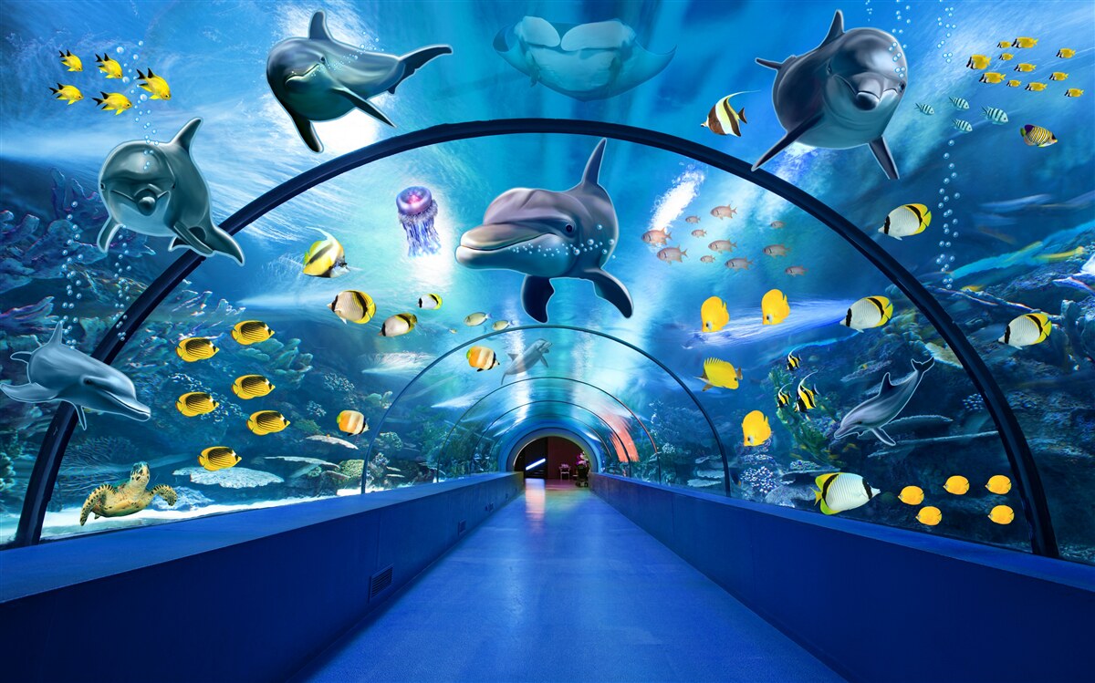 Fototapeta w akwarium są delfiny i ryby