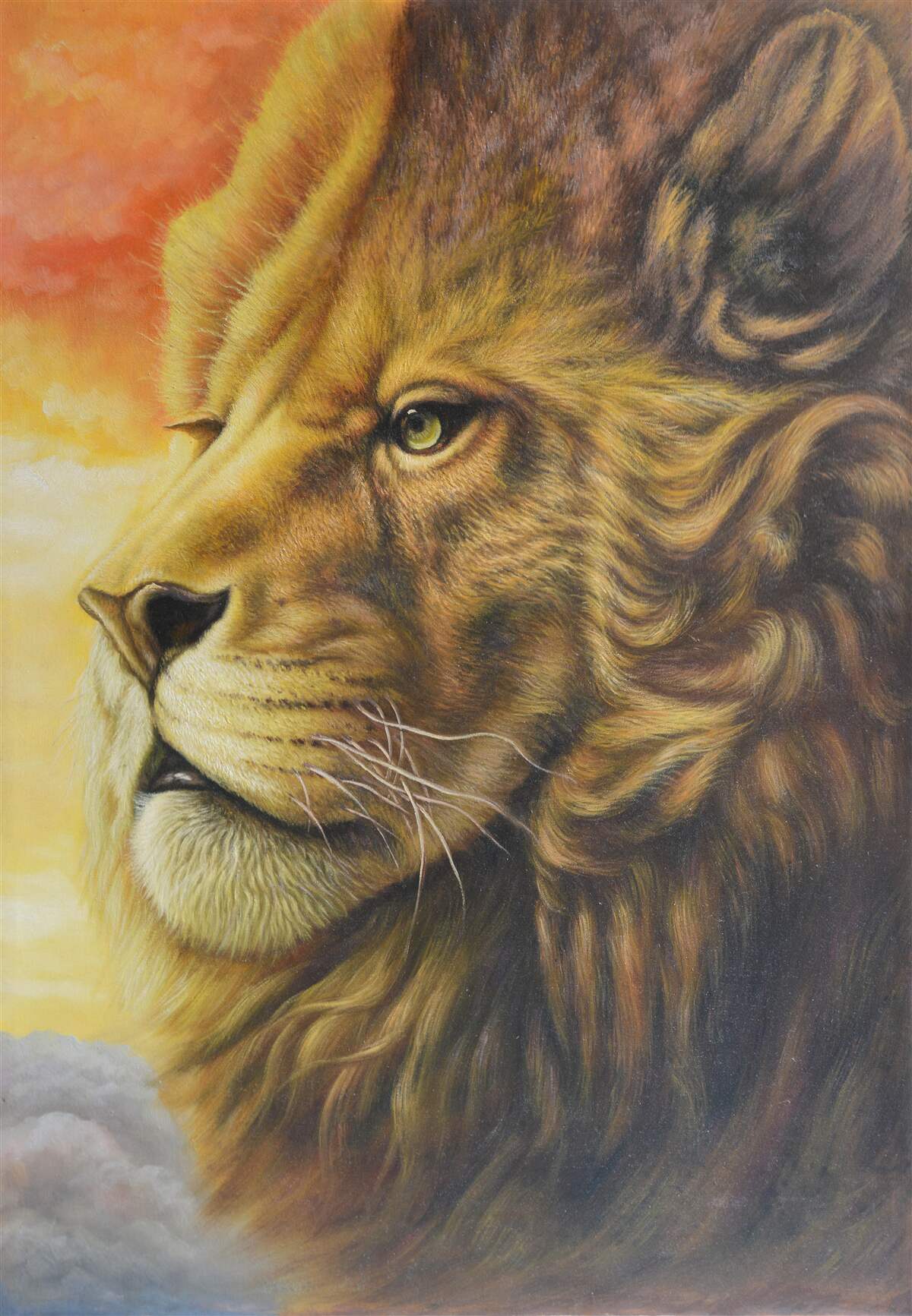 Fototapeta wspaniały wizerunek lwa