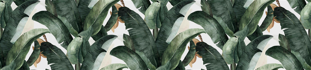 Fototapeta tropikalna zieleń