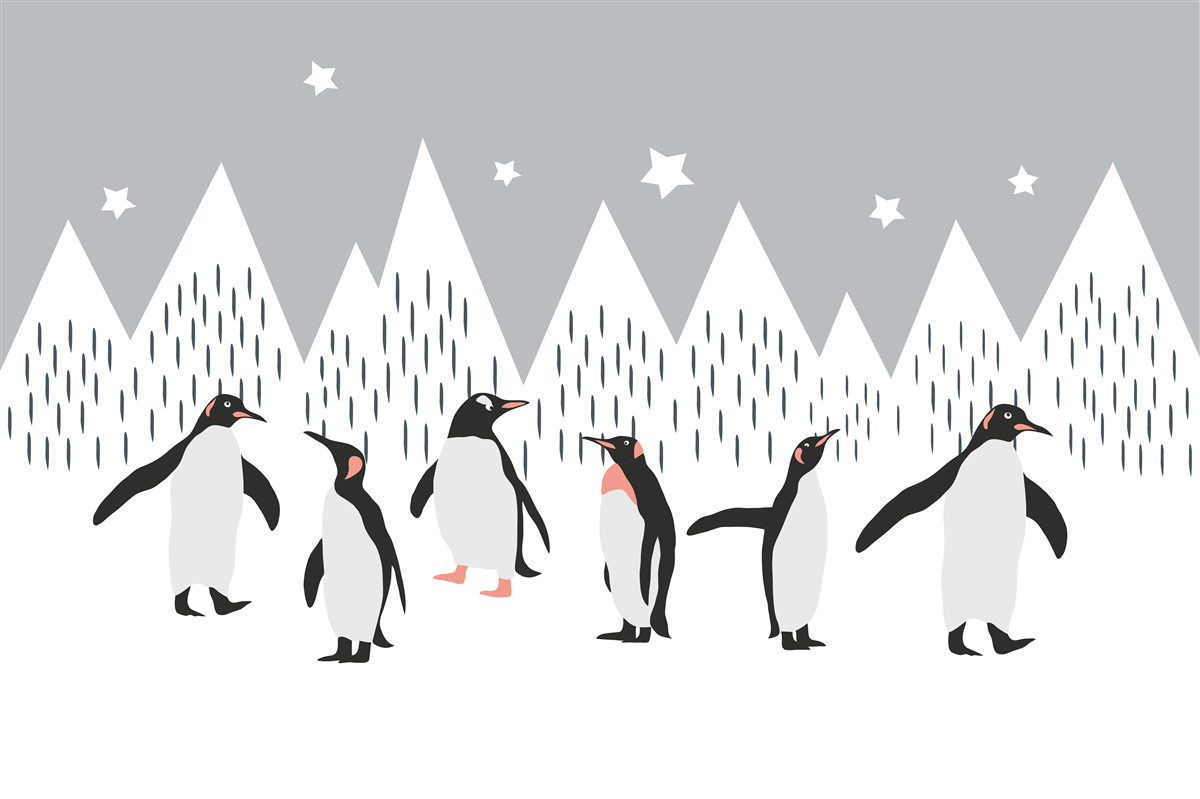 Fototapeta pingwiny idą na spacer