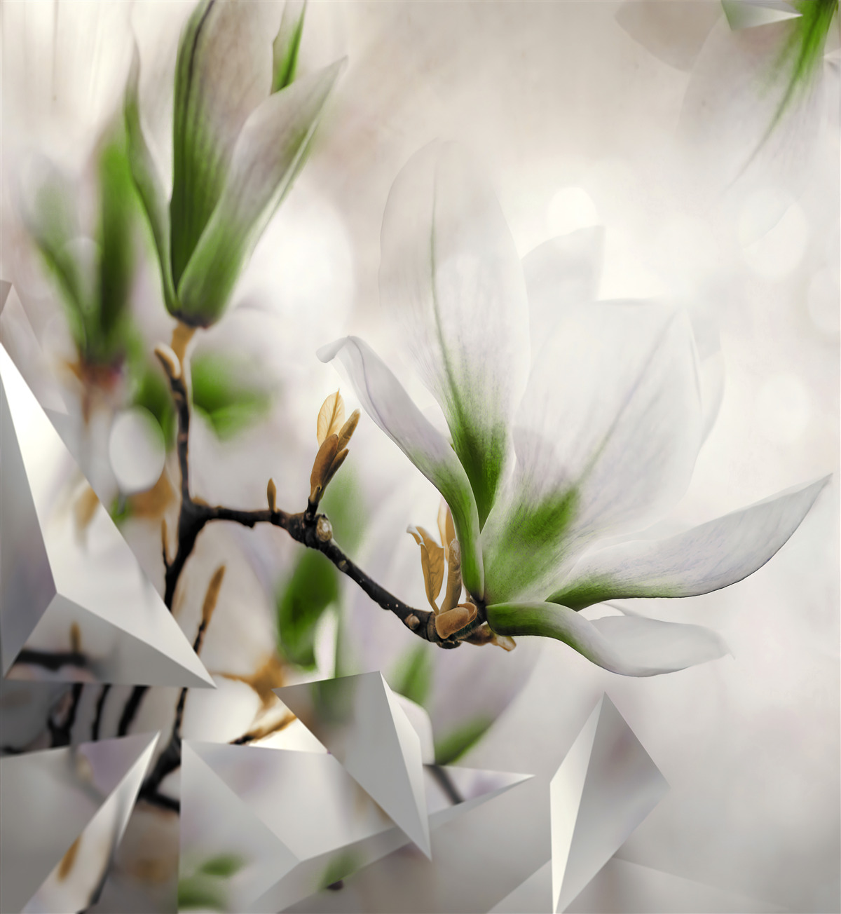 Fototapeta kwiaty w odcieniach bieli i zieleni połączone z geometrycznymi kształtami