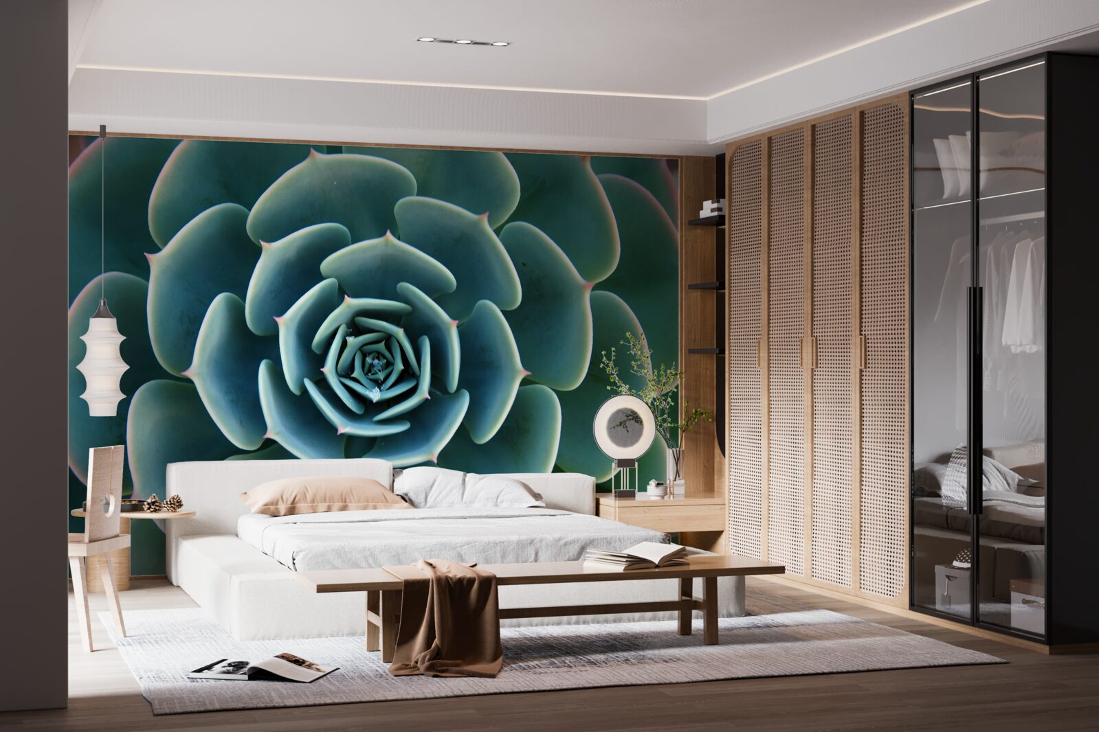 Fototapeta zbliżenie obrazu sukulentu