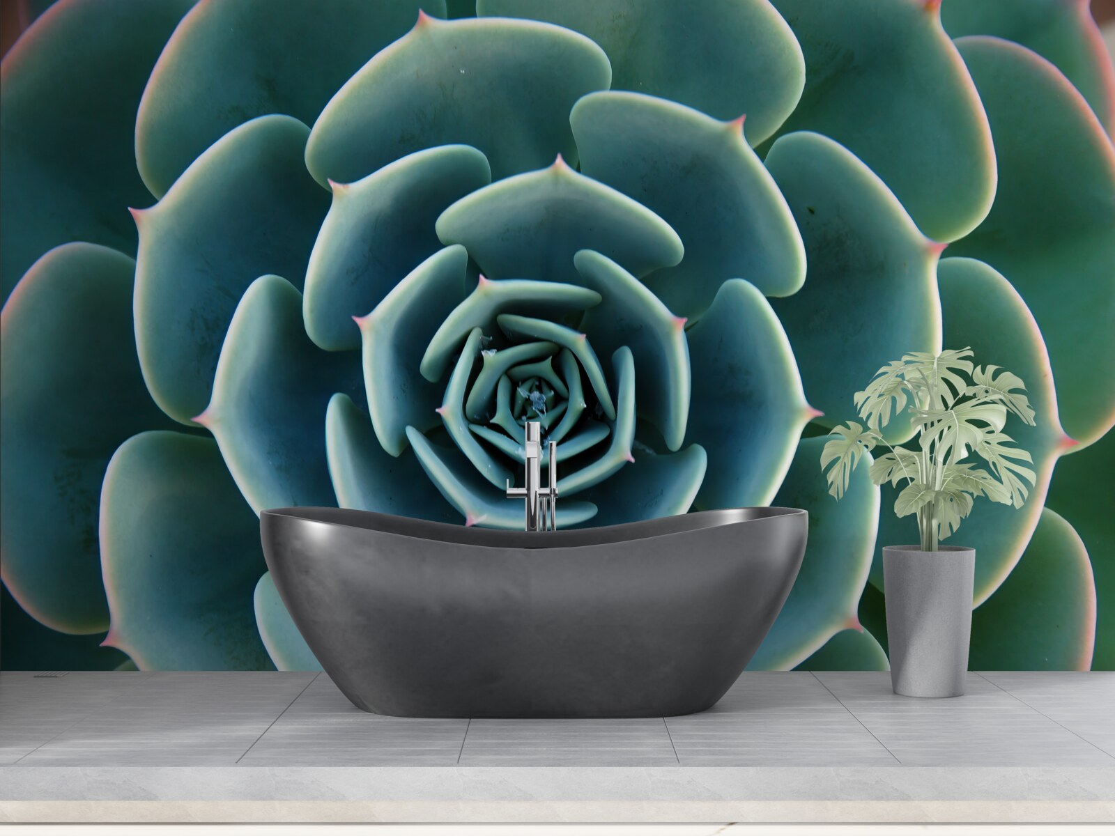 Fototapeta zbliżenie obrazu sukulentu