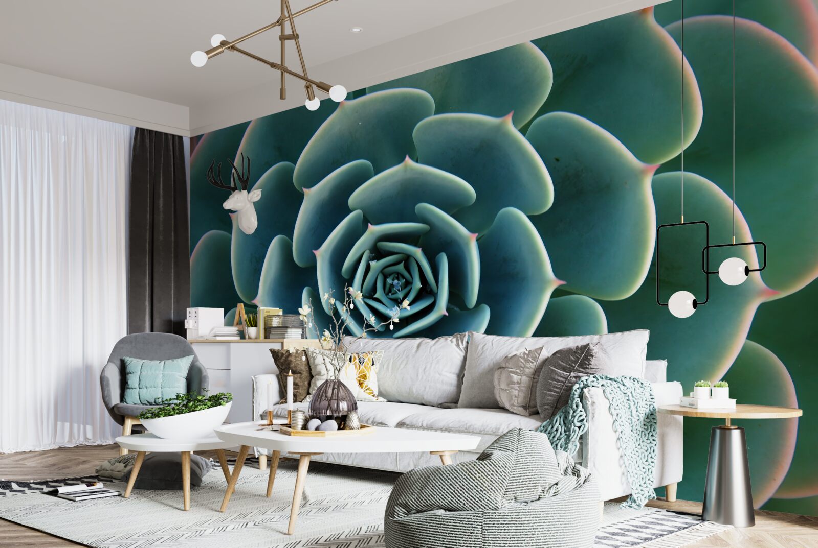 Fototapeta zbliżenie obrazu sukulentu