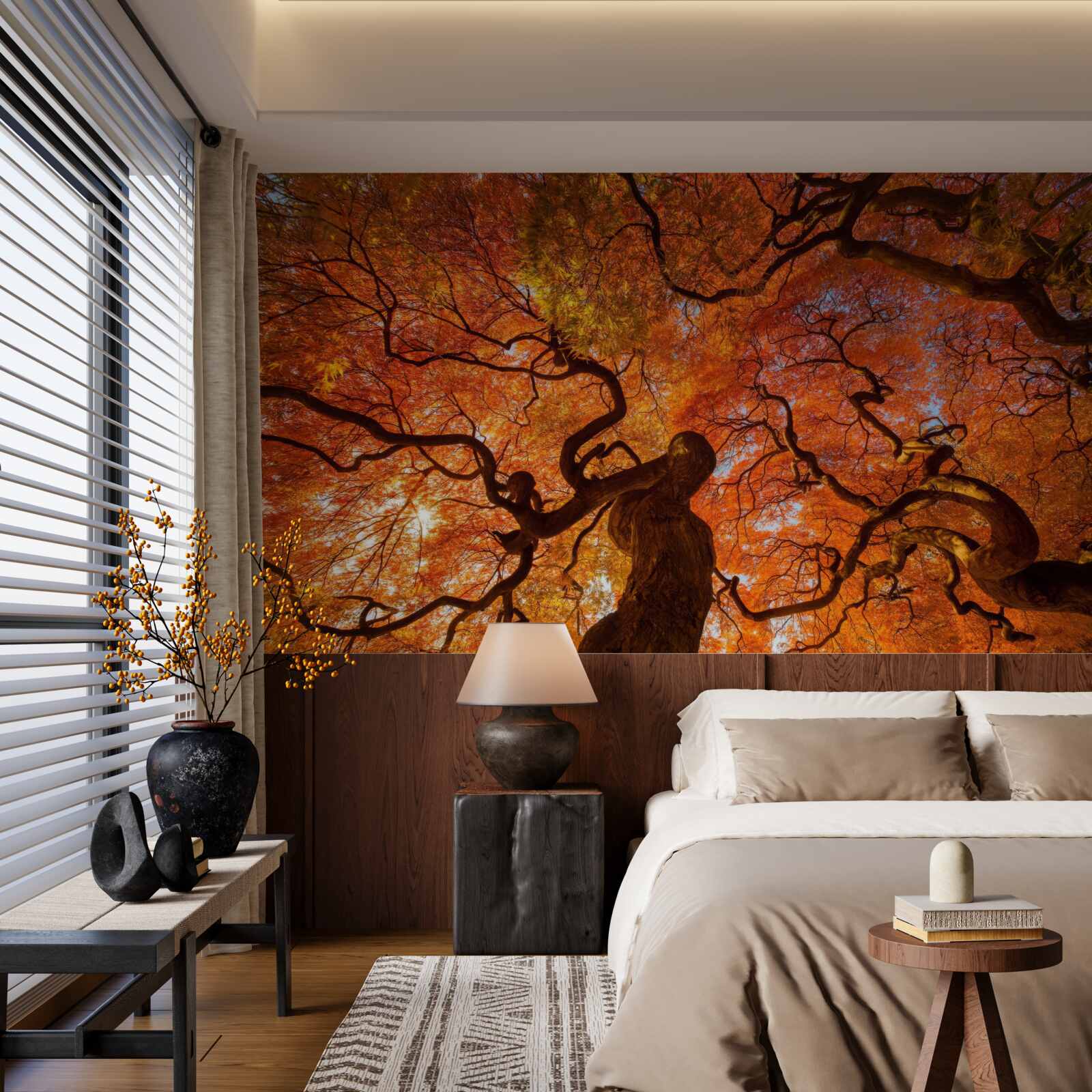 Fototapeta widok z dołu na drzewo jesienią