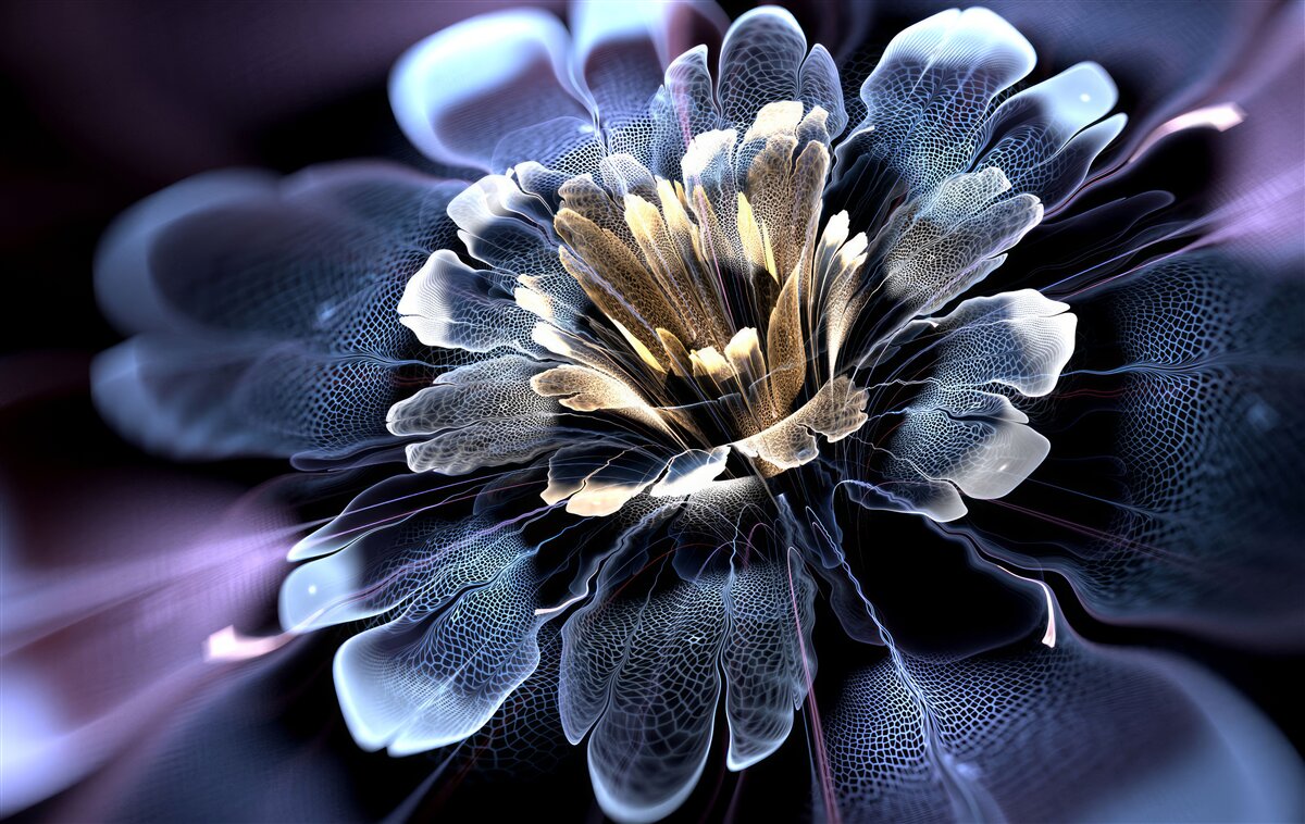 Fototapeta duży egzotyczny kwiat