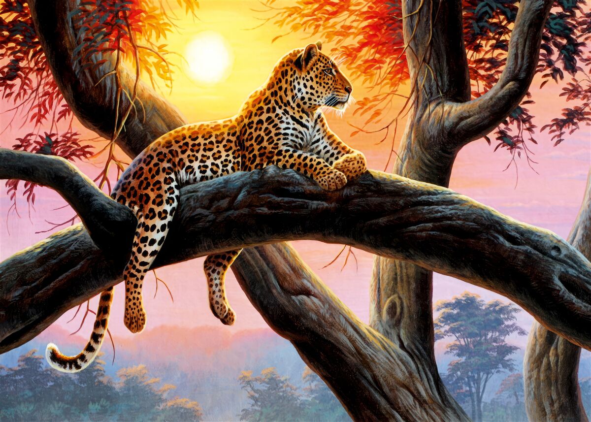 Fototapeta gepard siedzi na drzewie