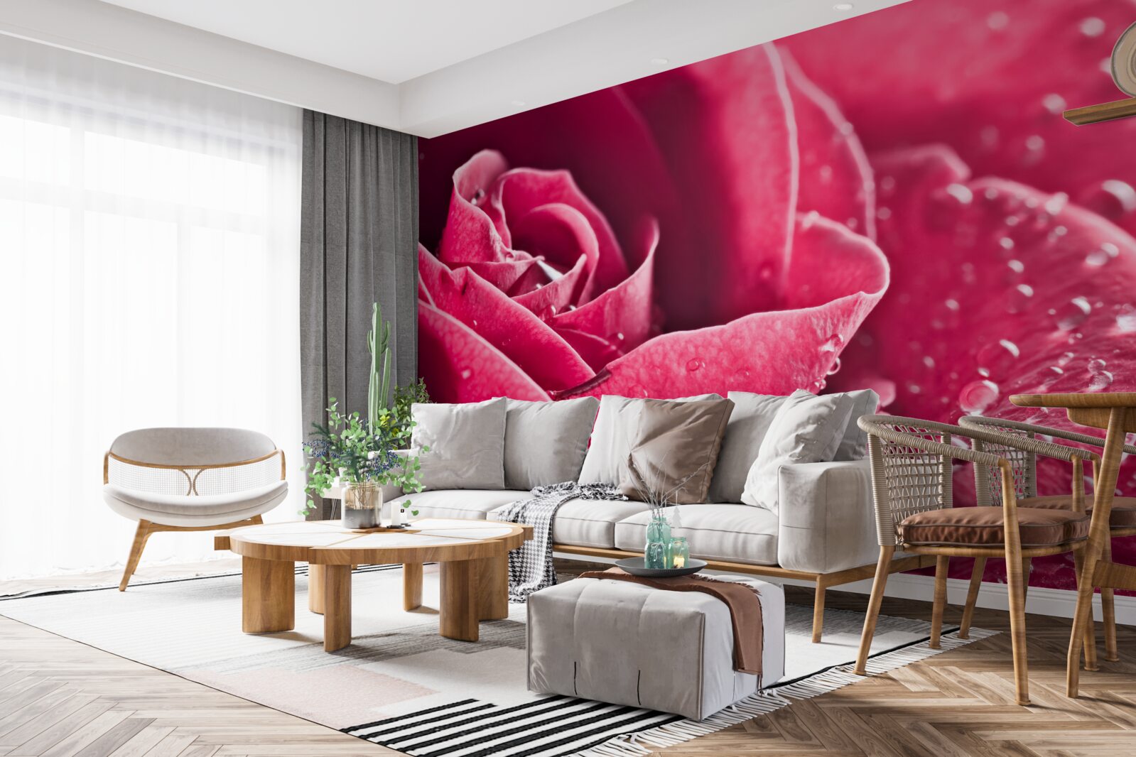 Fototapeta duża róża z kroplami wilgoci