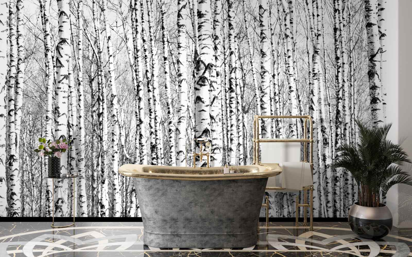 Fototapeta wiele brzoz