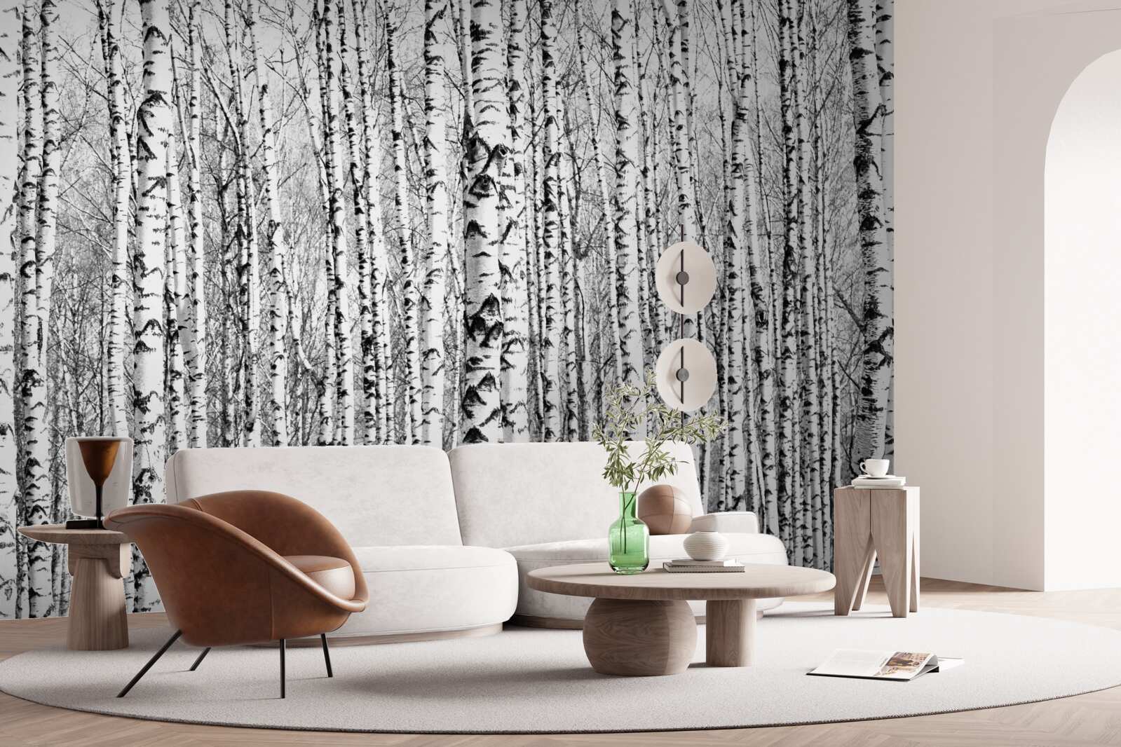 Fototapeta wiele brzoz