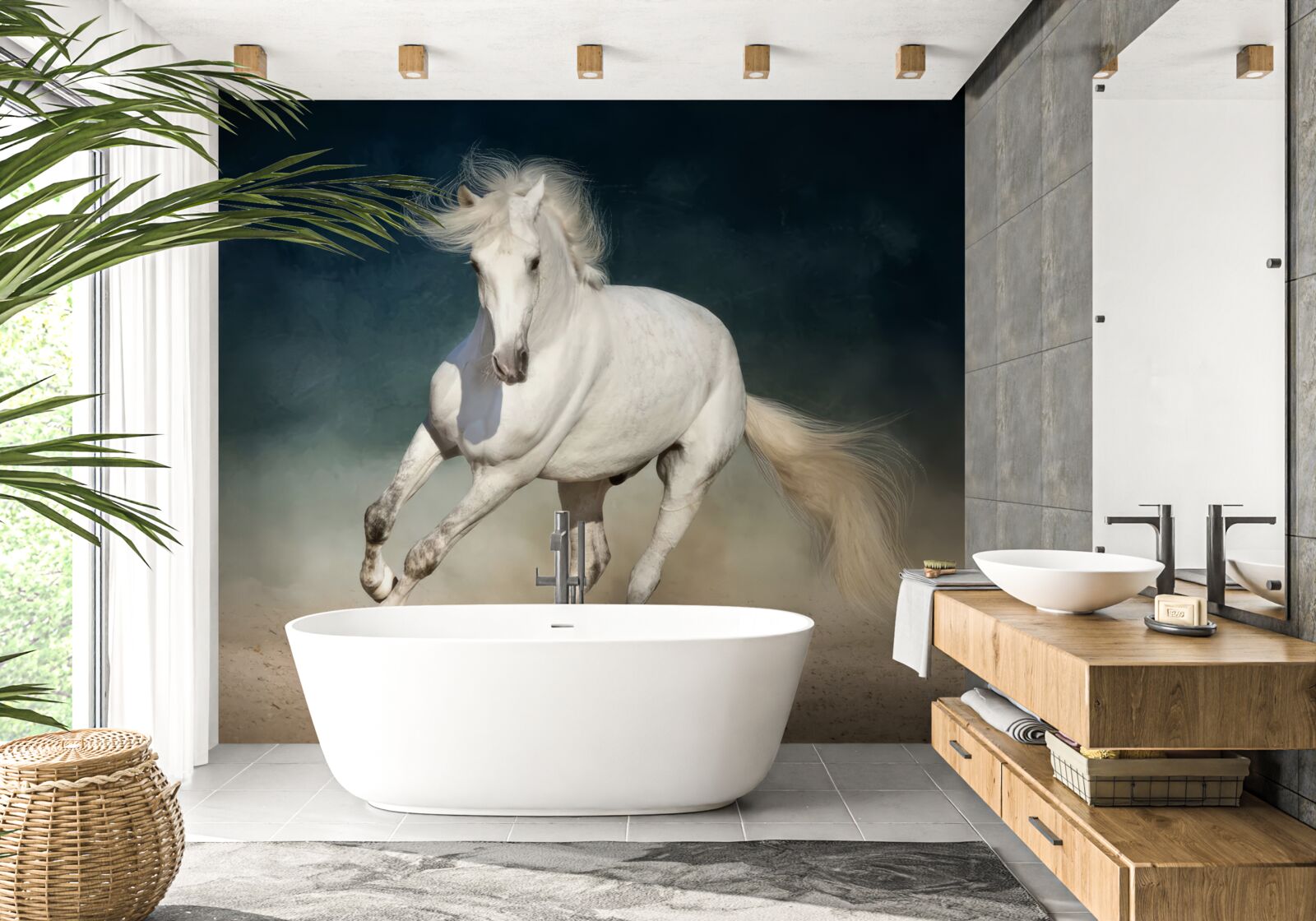 Fototapeta bieg białego konia