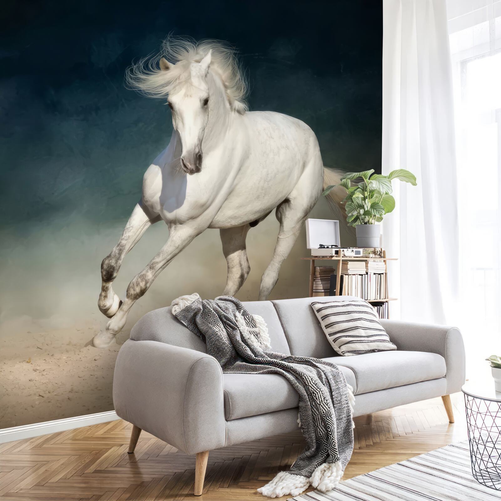 Fototapeta bieg białego konia