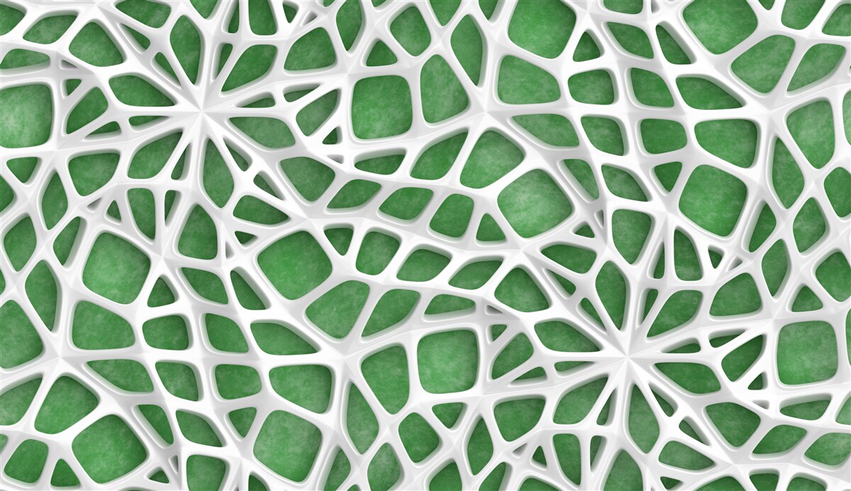 Fototapeta na zielonym tle znajduje się duża biała pajęczyna