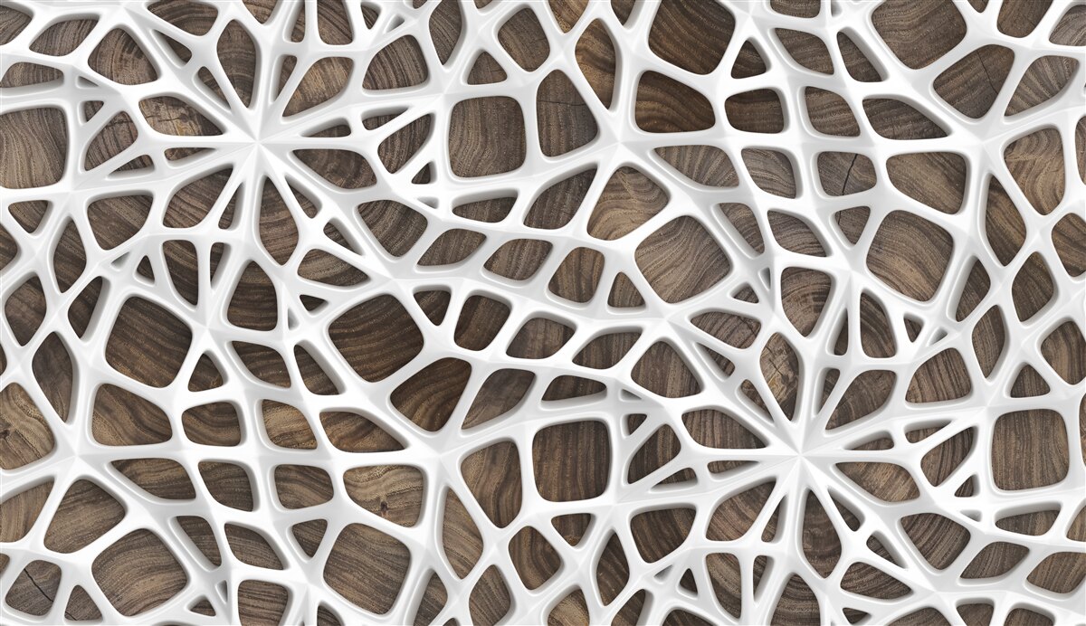 Fototapeta wolumetryczna śnieżnobiała sieć