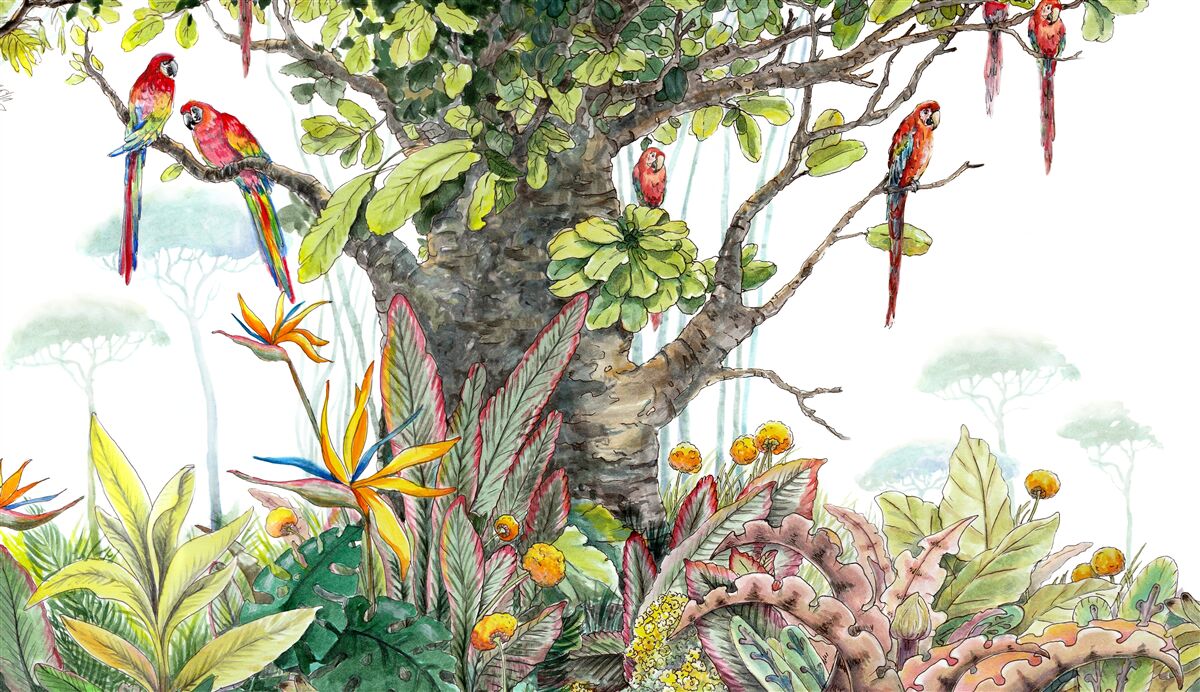 Fototapeta starożytne drzewo wśród zieleni