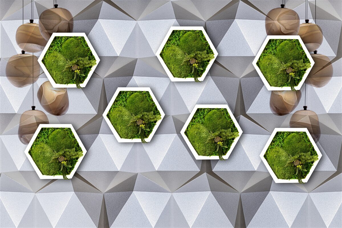 Fototapeta rośliny w kształcie pięciokątów