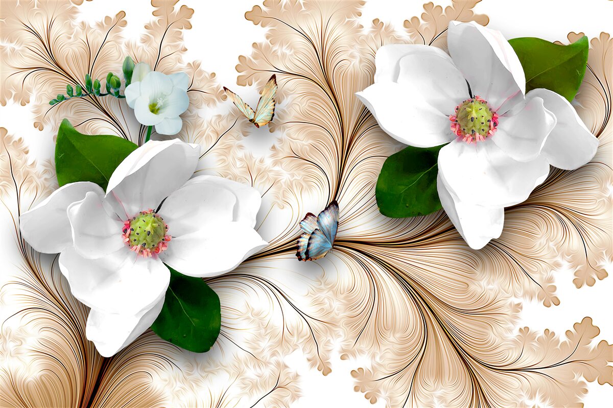 Fototapeta jasne śnieżnobiałe kwiaty na brązowym tle